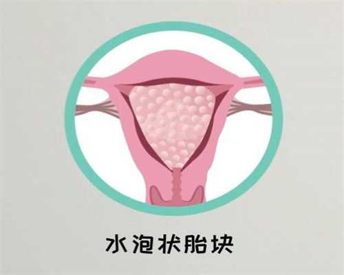 北京供卵助孕公司试管生男孩排名？