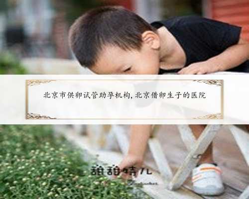 <b>北京市供卵试管助孕机构,北京借卵生子的医院</b>