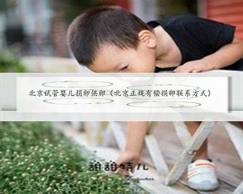 北京试管婴儿捐卵供卵（北京正规有偿捐卵联系方式）