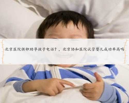 北京医院供卵助孕孩子电话？，北京协和医院试管婴儿成功率高吗